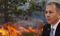 Bakan Yerlikaya'dan Bursa ve Karabük'teki orman yangınlarına ilişkin paylaşım