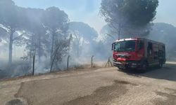 Bergama’da anız yangını ormana sıçradı: Müdahale sürüyor