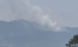 Bir yangın da Osmaniye'de çıktı
