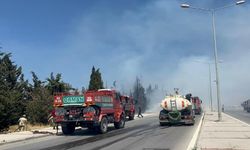 Bu kez Buca'da orman yangını çıktı! Rüzgarın etkisiyle büyüyor