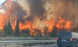 Buca’daki yangınla ilgili İzmir Valisi Elban’dan açıklama!