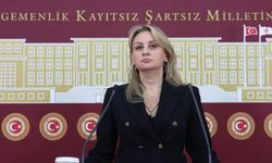 CHP İzmir Milletvekili Ösen: Elektrik alt yapı ve bakımları koşullara uygun mu?