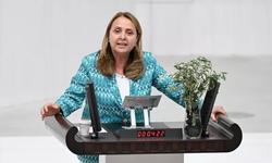 CHP’li Dinçer’den Meclis’te 'çıplak ayaklı' zeytin protestosu