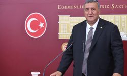 CHP'li Gürer: Çiğ süt fiyatı maliyetinin altında fiyatla satılıyor