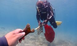 Gündoğan’da deniz dibi temizliği