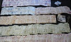 Duygu istismarına 247 işlem, 347 bin TL ceza