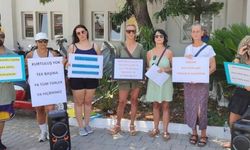 Fethiye'de barınak kapatıldı, zabıta protesto edildi!