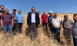 CHP'li Gürer: Üreticinin, çiftçinin canı yanıyor