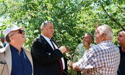 CHP'li Gürer: Üreticiler kredi borçlarının faizsiz ötelenmesini istiyor