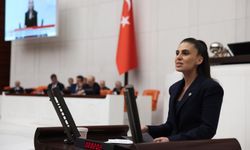 CHP'li Özcan: Kıyılar halkın iradesine kapatılıyor