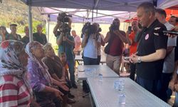 İzmir yangını bilançosu: 256 yapı hasar gördü