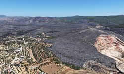 İZPA İzmir’in orman yangını risk haritasını oluşturdu