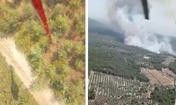 Manisa Saruhanlı'da orman yangını: Havadan ve karadan müdahale ediliyor