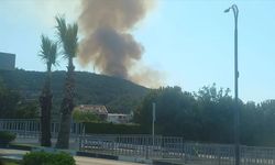 Manisa'da orman yangını! Ekipler seferber oldu