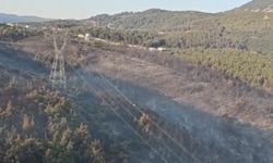 Manisa'daki yangın 2'nci gününde: Müdahale sürüyor