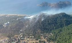 Muğla'da orman yangını!