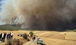 Orman Bölge Müdürü yangında mahsur kaldı!