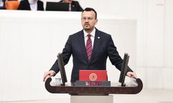 CHP’li Arpacı’dan TBMM’de zeytinlik isyanı: