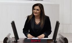 CHP'li Kılıç: Çocuk emeği sermayeye peşkeş çekilemez