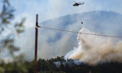 İzmir'deki yangınların sorumlusu kim? Vali Elban "elektrik" dedi, GDZ tam aksini!