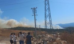 Urla Camiatik Mahallesi ormanlık alanda çıkan yangına müdahale