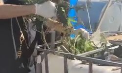 Kemeraltı Çarşısı’nda yasaklı madde operasyonu!