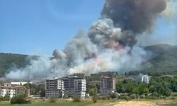 Soma’da orman yangını kontrol altına alınmaya çalışılıyor