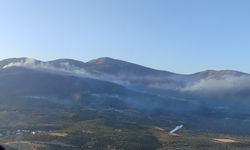 Manisa’da yangınlar havadan ve karadan söndürülüyor