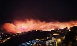 Dikili’de gece otluk yangını korkuttu