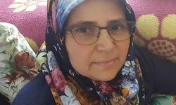 Sahipsiz köpeklerden kaçarken aracın altında kaldı
