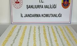 MİT tespit etti, jandarma operasyon düzenledi