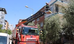 Efeler’de Balkonda Mahsur Kedi Kaçtı