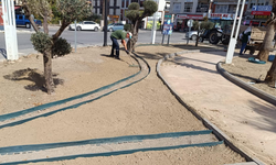 Manisa’da doğa dostu peyzaj uygulamaları yayılıyor