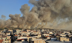 İzmir orman yangını: 1 tutuklama, 3 adli kontrol