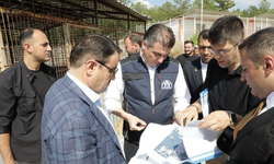 Kütahya Valisi Işın’dan Sahipsiz Hayvanlara Önemli Mesaj