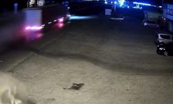 2 kişinin ölümüne neden oldu, İzmir'de yakalandı