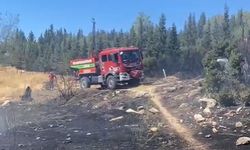 Aliağa’da ormanlık alanda çıkan yangın söndürüldü