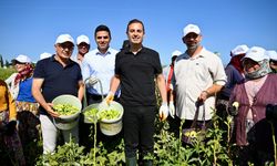 Başkan Akın: “Bu topraklarda birlik var, beraberlik var”