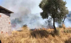 Bodrum’da yangın korkuttu: 10 dönüm alan zarar gördü