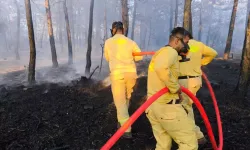 Bolu'da Orman Yangını 8,5 Saat Süren Mücadele Sonrası Kontrol Altına Alındı