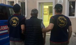 Hayvanları zehirleyip, etleri çocuklara dağıttırmış