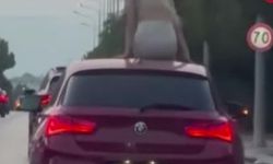 Çeşme’de trafiği tehlikeye atan dans...