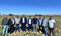CHP'li Gürer: “Üreten dertli, tüketen dertli”