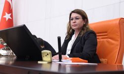 Karaca: Zeydan Karalar’ın cezaevinde ne işi var?
