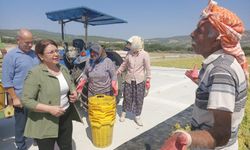 Üzüm üreticileri isyan etti: “Düzeltemiyorsanız istifa edin gidin!”