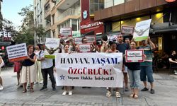 Tepkilere rağmen yaban hayvanları ihale ile avlatılıyor!