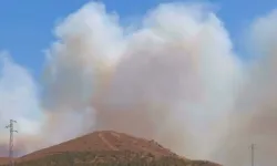 Seferihisar’da Orman Yangınına Havadan ve Karadan Müdahale
