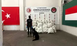Kapıkule’de Çifte Operasyon: 245 Kilo Uyuşturucu Yakalandı