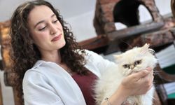 Patili dostlar ömürlük yuvalarını bekliyor
