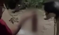 Bir kişi köpeğine alkol içirdi, tepki yağdı